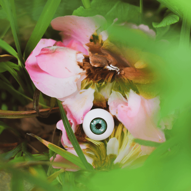 Colère 